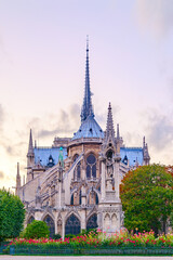 Fototapeta na wymiar Notre Dame de Paris at twilight