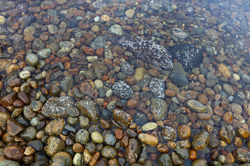 Kieselsteine / Pebbles /