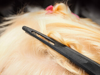 hair clip in a barbershop close-up. industry of beauty and hair care, hair cutting, lightening,...