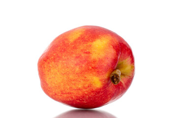 One ripe juicy apple, close-up, isolated on white.