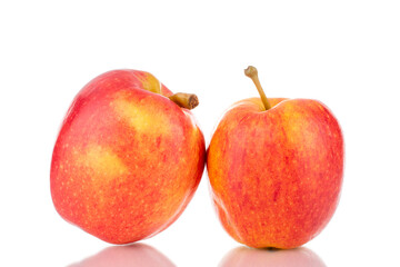 Two ripe juicy apples, close-up, isolated on white.