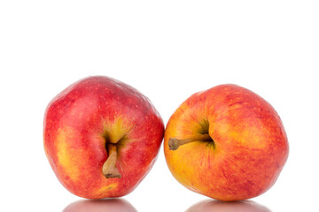 Fototapeta na wymiar Two ripe juicy apples, close-up, isolated on white.