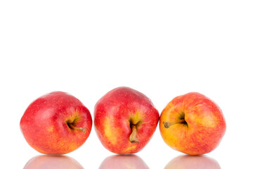 Fototapeta na wymiar Three ripe juicy apples, close-up, isolated on white.