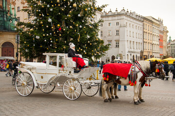 Fototapeta premium Horse carriages near St. Mary's Basilica and Christmas tree at Krakow market square, Poland. 