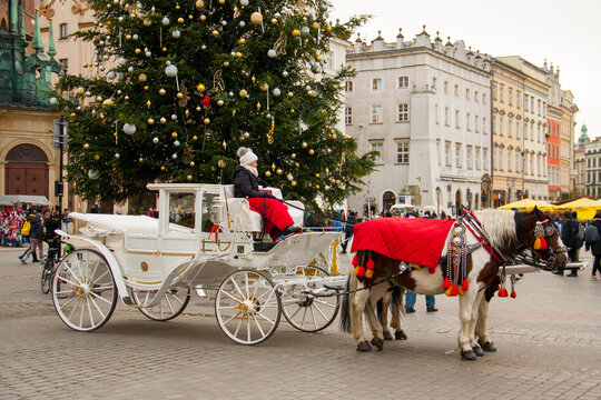 Horse carriages near St. Mary's Basilica and Christmas tree at Krakow market square, Poland. 