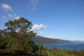 Fototapeta na wymiar Norwegen - Sognefjord bei Nordrevik und Vadheim / Norway - Sognefjorden near Nordrevik and Vadheim /