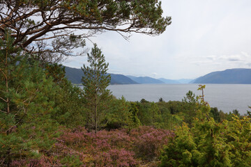 Fototapeta na wymiar Norwegen - Sognefjord bei Nordrevik / Norway - Sognefjorden near Nordrevik /