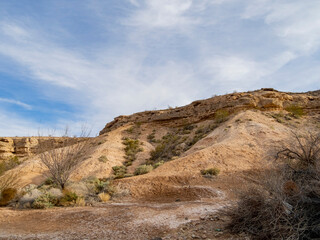 Sunny view of a desert style park