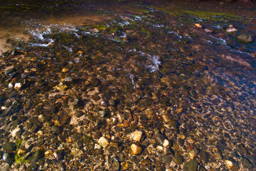 woda rzeka kamienie natura dno - obrazy, fototapety, plakaty