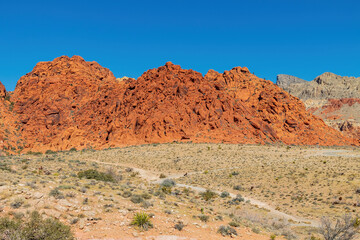 Sunny view of the landscape in Calico Basin Trail