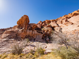 Sunny view of the landscape in Calico Basin Trail