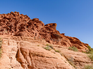 Obraz premium Sunny view of the landscape in Calico Basin Trail
