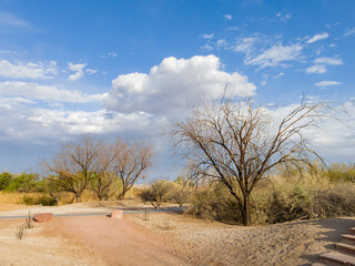 Afternoon sunny view of the landscape of Clark County Wetlands Park