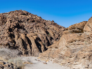 Sunny view of the landscape in Petroglyph Canyon Trail