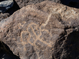 Sunny view of the landscape in Petroglyph Canyon Trail