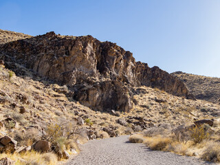 Fototapeta na wymiar Sunny view of the landscape in Petroglyph Canyon Trail