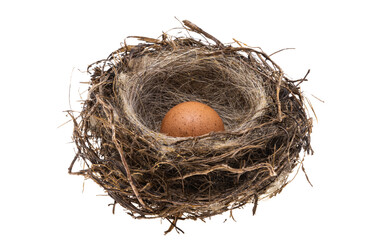 bird's nest with egg isolated
