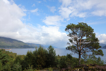 Norwegen - Sognefjord bei Nordrevik und Vadheim / Norway - Sognefjorden near Nordrevik and Vadheim /