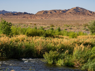 Sunny view of the landscape in Las Vegas Wash