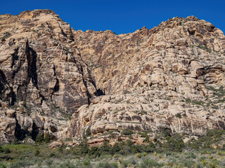 Fototapeta premium Sunny view of the landscape of Red Rock Canyon