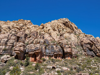 Sunny view of the landscape of Red Rock Canyon