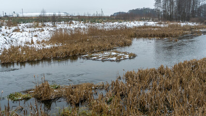 Fototapeta premium Winter landscape of a small river in early winter on a cloudy day. River dry grass in the crystals.