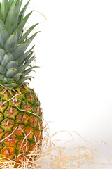 pineapple on white background	