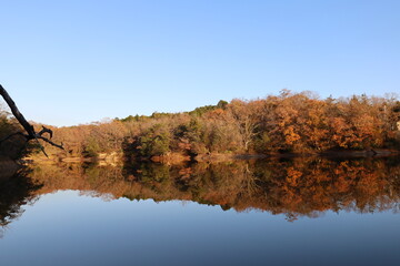 秋の水鏡