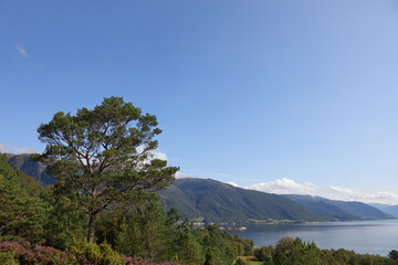 Norwegen - Sognefjord bei Nordrevik und Vadheim / Norway - Sognefjorden near Nordrevik and Vadheim /