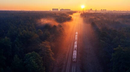 A freight train travels through a foggy forest.