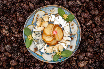 cheese plate on the Christmas table
