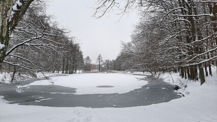 Park in winter and pond in the ice