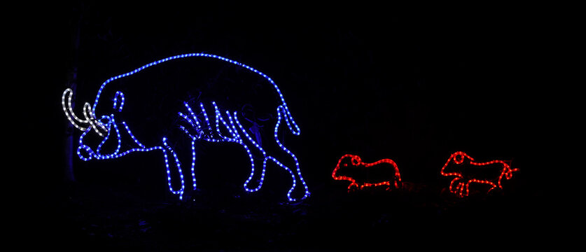 Colored Christmas and holiday lights depicting a pig and piglets at a zoo in Portland Oregon