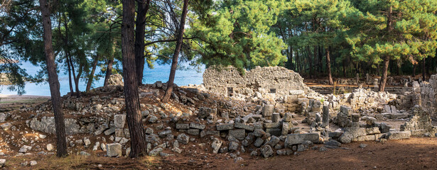 view of the wooded ruins of the ancient city of Phaselis