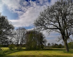 Landschaft im Frühling.