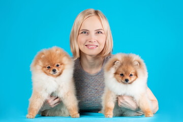 Smiling pretty woman holding two cute puppies of pomeranian spitz breed dog. Owner with her friends pets.