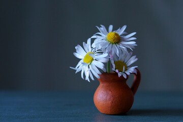 Background with white wildflowers - daisy bellis in the vase  Bellis perennis © ramona georgescu