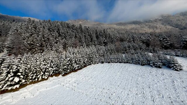 flying fpv through Winter Wonderland by drone proximity styria autria alps
