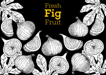 Fig fruit hand drawn package design. Vector illustration. Design, package, brochure illustration. Packaging design. Hand drawn fig fruits design template. Organic fresh food vector illustration.