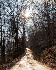 A muddy dirt road through the woods on in Deerfield Township, Pennsylvania, USA on a sunny winter day