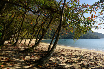 Praia do Pouso no Parque  Estadual da Ilha Grande.