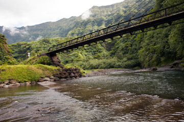 Tahiti. The bridge through the river in mountains