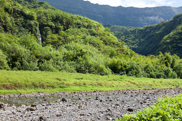 Tahiti.Tropical nature and mountain river.