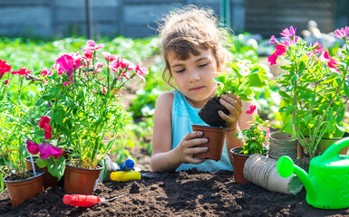 The child is planting flowers in the garden. Selective focus.