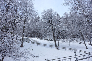 Escalier et montée sous la neige