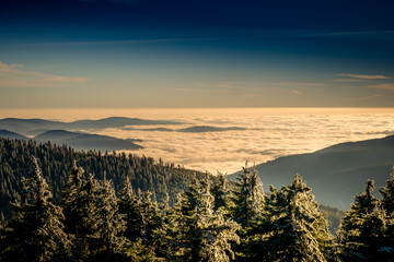 Scenic landscape with trees covered with rime, view from a mounatin range to the valley filled with...