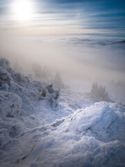 Scenic landscape with a view from a mounatin range to the valley filled with low clouds and fog during temperature inversion, snow,rime,clouds,sunlight,spruce trees. Jeseniky mountains.Czech republic.