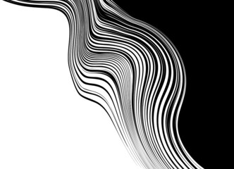 Abstract transition from black to white with thin striped swirling lines. Black and white striped vector background