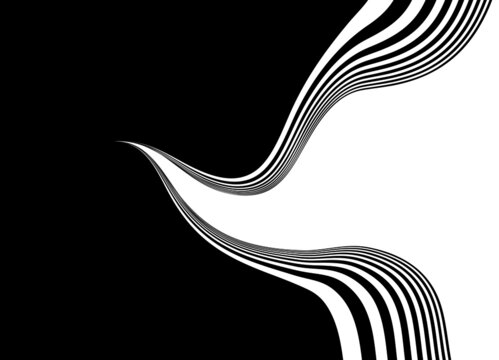 Abstract transition from black to white striped swirling lines. Black and white striped vector background.