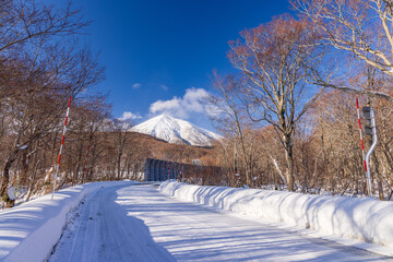 Towada in early winter